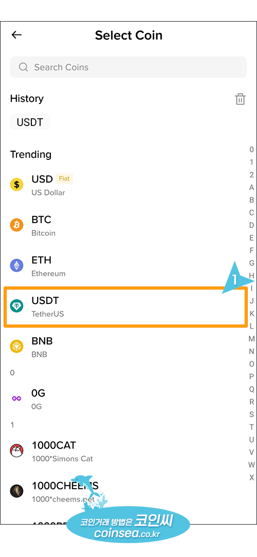 업비트에서 USDT입금
